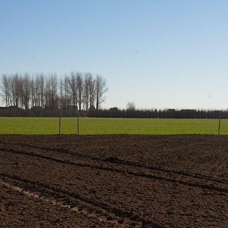 'Op De Borgt' Met Finse Grill Kota Vila Wellen Exterior foto