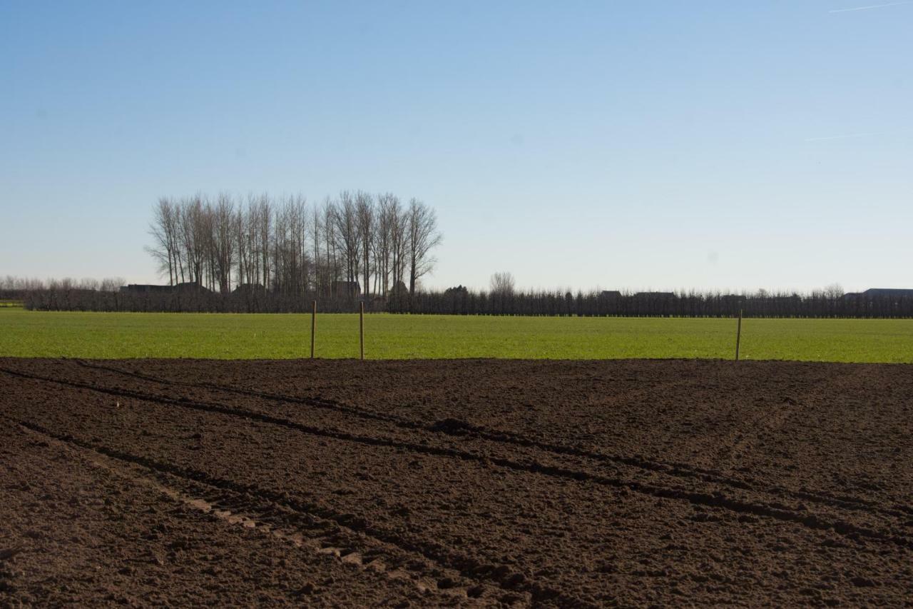 'Op De Borgt' Met Finse Grill Kota Vila Wellen Exterior foto