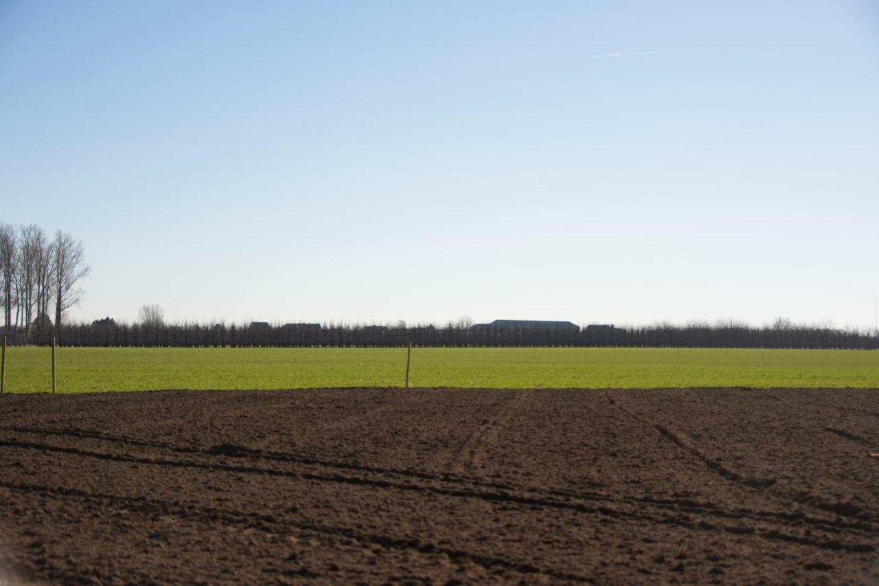 'Op De Borgt' Met Finse Grill Kota Vila Wellen Exterior foto